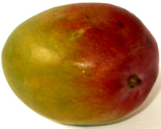 Mango.jpg